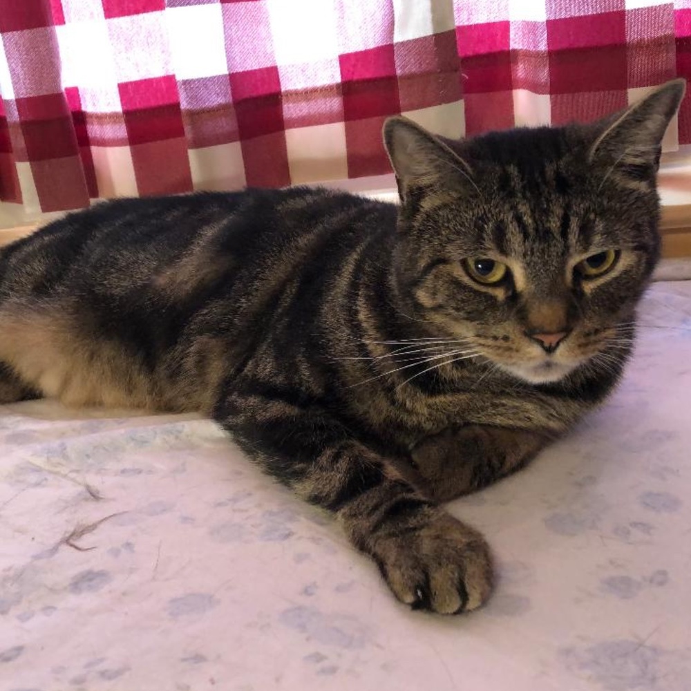 Meet your Posher, Arleen